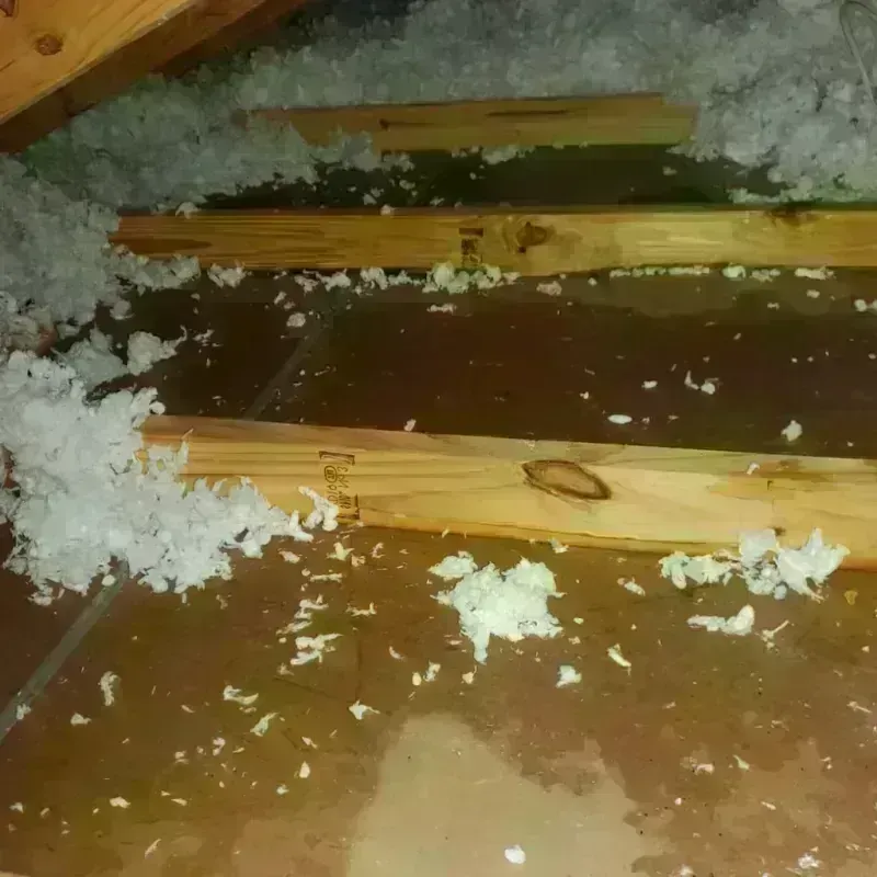 Attic Water Damage in Pocono Ranch Lands, PA